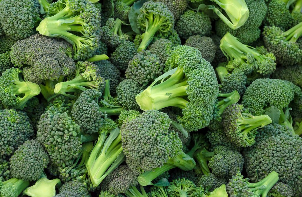 El brócoli es un vegetal rico en fibra, vitaminas, minerales y antioxidantes.